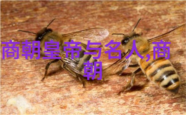 庆父时期七国之王数据分析公元前660