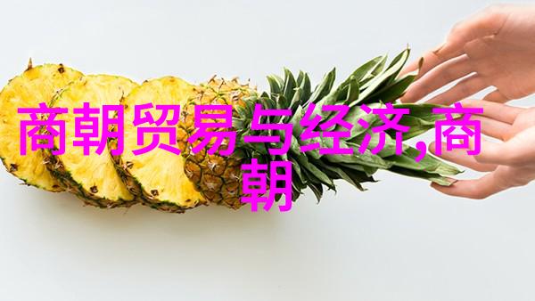 朱祁镇称作大明战神的原因历史功绩与军事才能