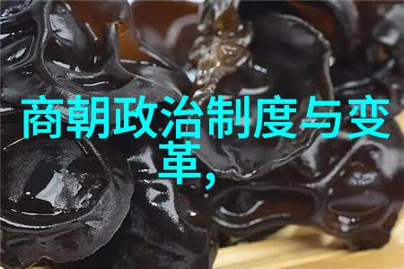 揭秘历史课本如何看待明朝的丑化描绘