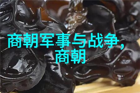李小军探索刘炳森隶书精品集揭秘自然之美