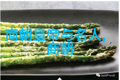 明朝大全的兴衰与变革