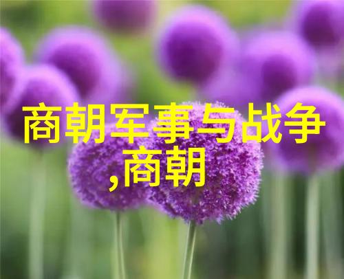 yw193.c 牢记不迷 - 编码之旅牢记初心不忘入门