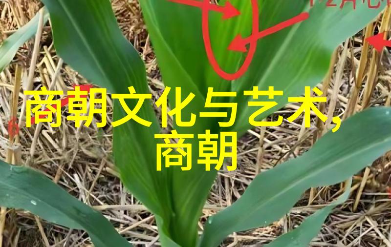 从明到清中国历史上的两次垃圾王朝