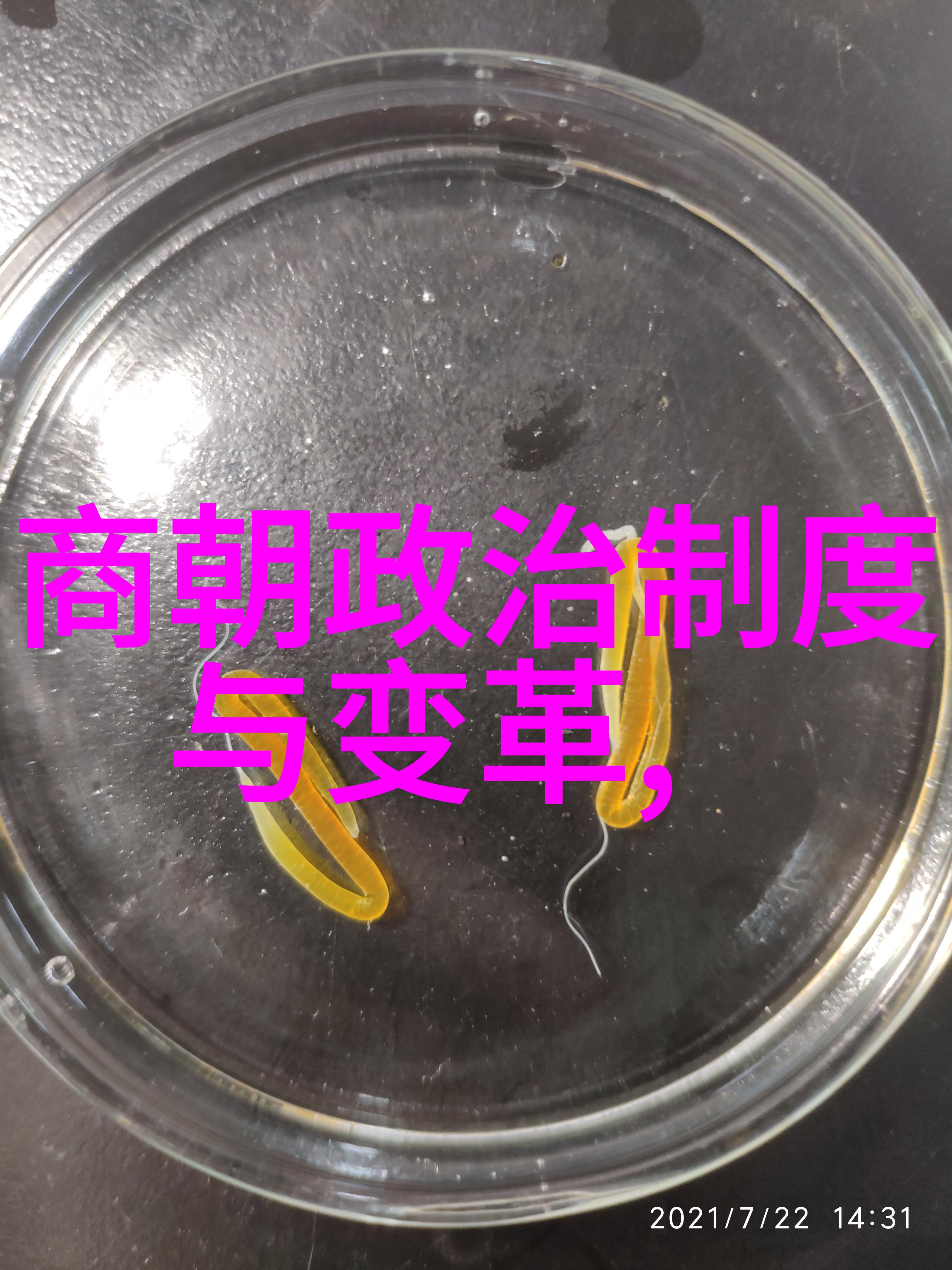 历史的回响人教版中考必考点之探究
