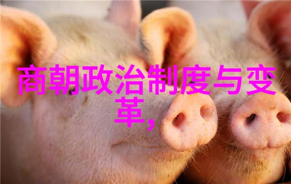 明末帝位之争福王的遗憾继承问题