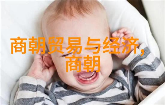 专家们为何对宋朝如此青睐