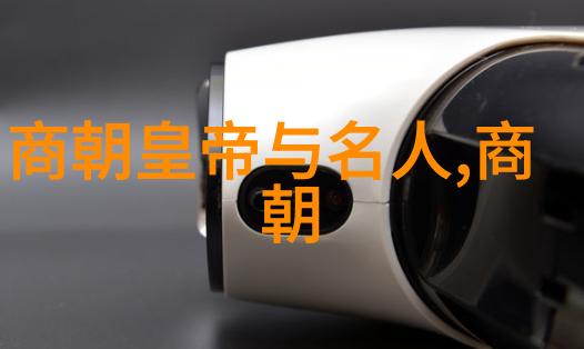 书法四大家风范苏大椿的墨迹之美