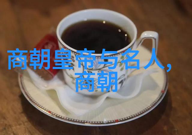 元朝-辽阔的元朝探索蒙古帝国的疆域