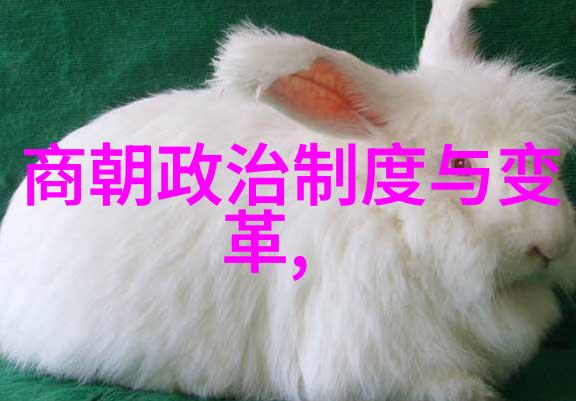跨越时空揭秘那些影响深远但不为人知的小小故事