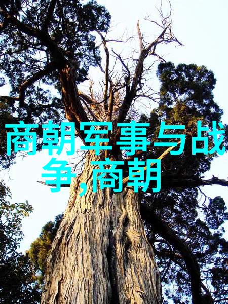 中国开国领袖简介中国历史上的开国皇帝和重要领导人
