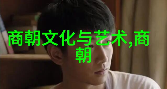 明朝能够抵御外来侵略吗有哪些成功案例或失败教训