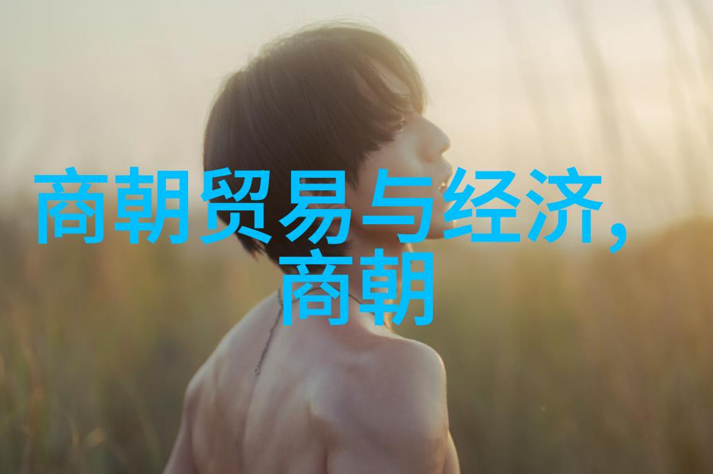 历史的长廊一场免费穿越明朝的奇遇