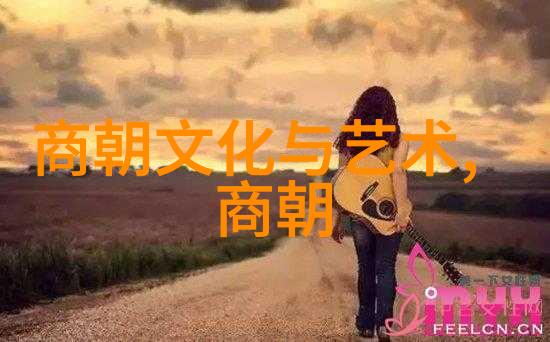 朝代纷飞之史册探秘