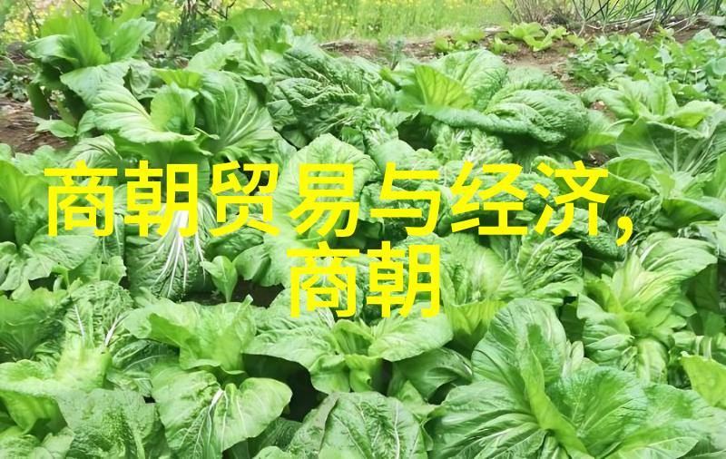 明朝权相明朝时期的显赫宠臣