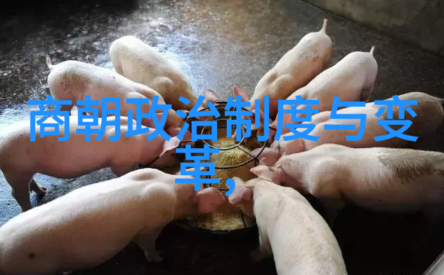 朱元璋推翻蒙古统治建明初年政治环境分析