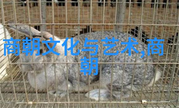 五千年历史长河从古代文明到现代科技的演变