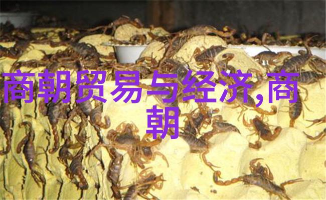 中国神话故事200字左右-龙腾四海中国古代的传说与奇迹