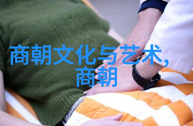 明朝那些事缘何下架探索文化敏感性与历史重塑的边界