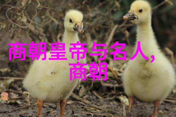 风云变幻中的清朝继承人争夺战