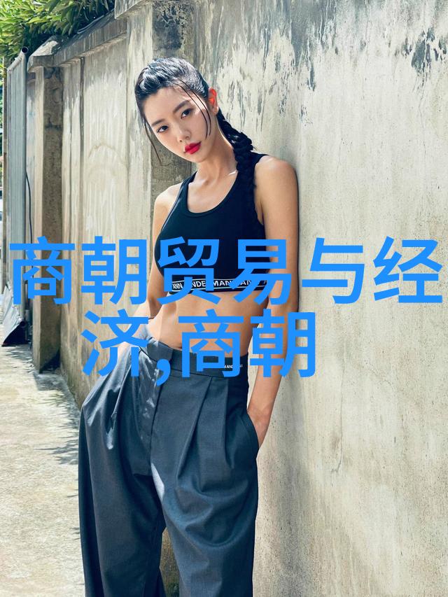 秦朝的辉煌与衰落中国历史上最长王朝的成就与挑战