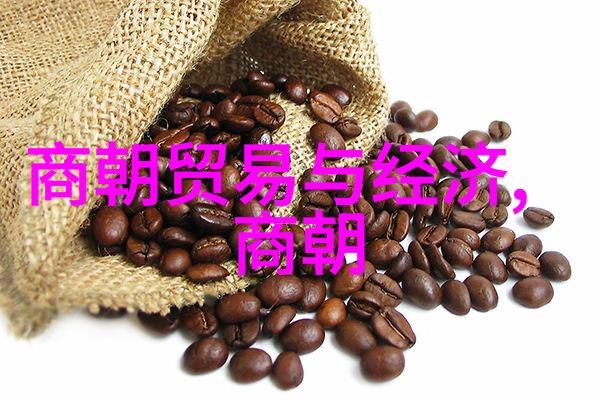 欧洲之谜明朝的光芒与外来者的畏惧