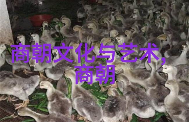 南朝时期的文化艺术发展有哪些突出表现形式