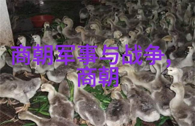 宋朝奇缘梁山好汉南渡记