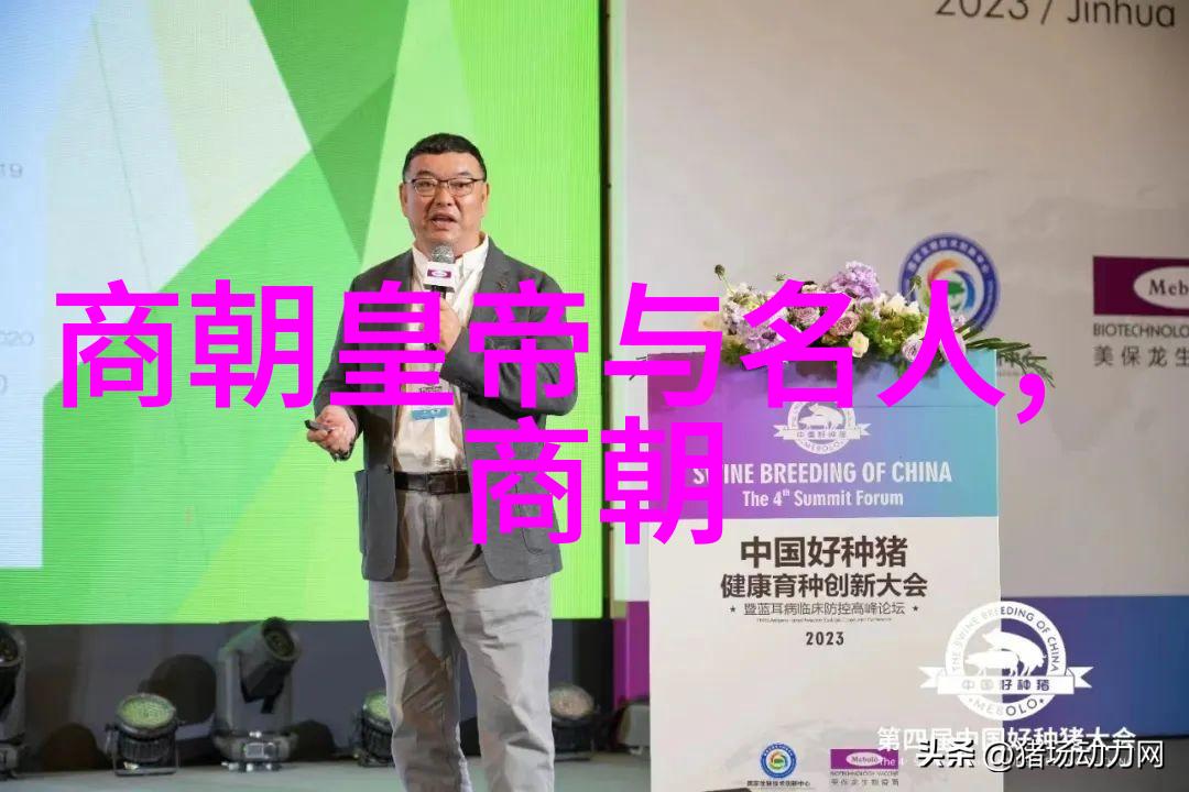 北元与明朝正统之争历史考量与文化认同
