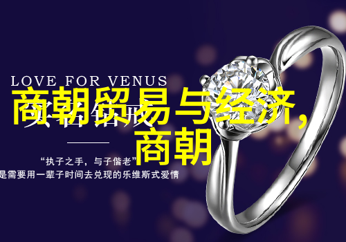北宋覆灭金军入侵与政权衰败的简要回顾
