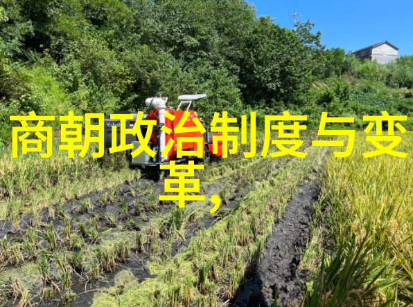 明朝风华帝王与将领的辉煌篇章