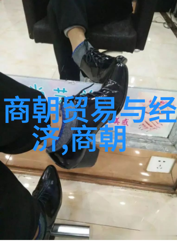 明朝哪些事儿-探秘明朝权力斗争文化繁荣与边疆防御