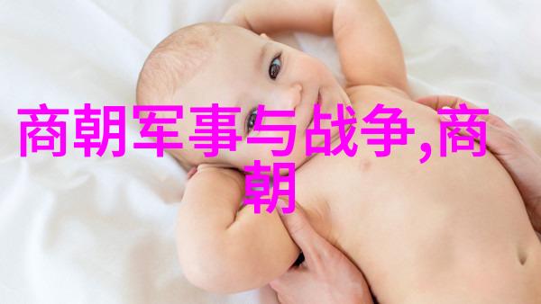 明朝煌烂历史从永乐盛世到崇禎末日的兴衰变迁