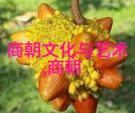 农民起义与封建统治的瓦解明末农民战争探究