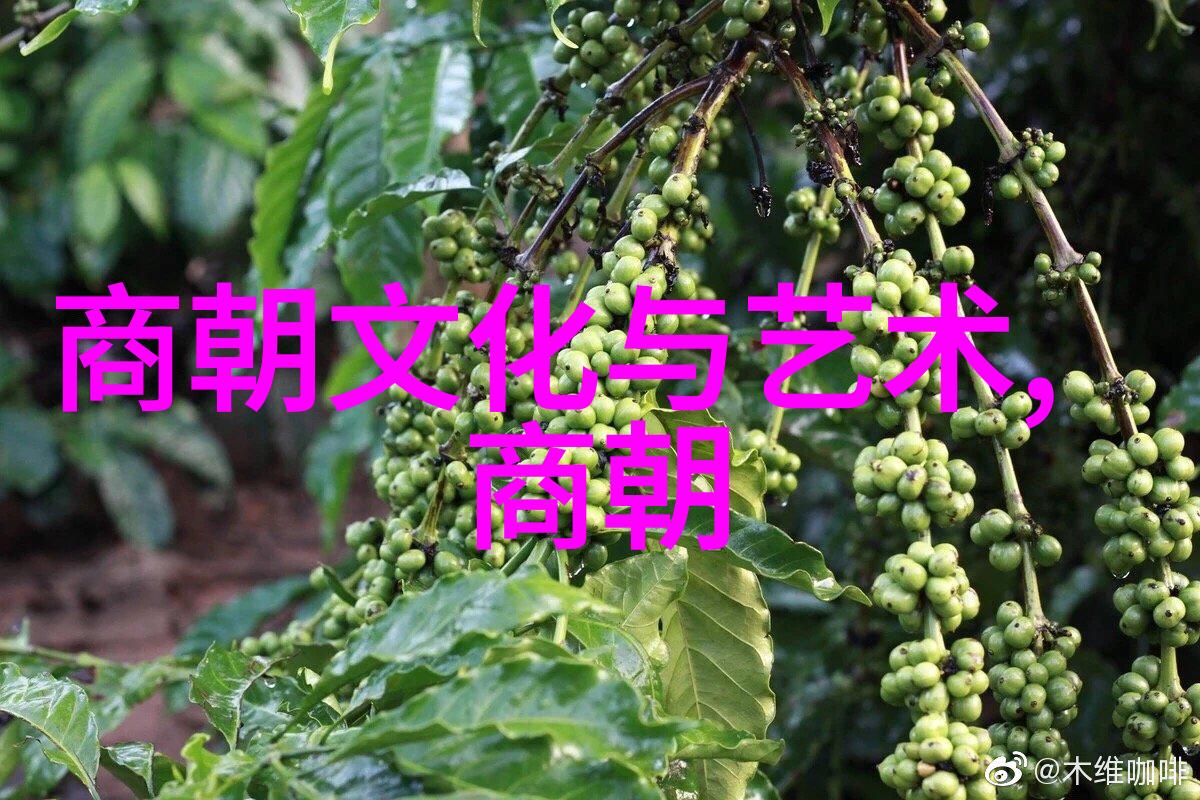 石悦技巧之源分析其在叙述明朝历史时所采用的写作策略