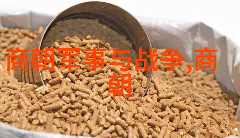 元朝名宰相脱脱历史上的卓越政治家与军事家