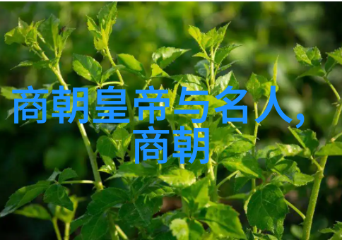 元朝的中国足迹探索大元帝国与中华文化的交融