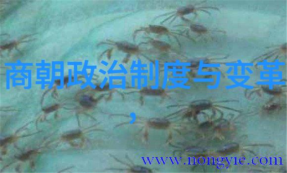 中国神话故事简介你一定不知道的五大奇幻传说