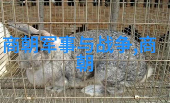 明朝那些事儿 后记 - 明末沉浮录重温历史的余韵