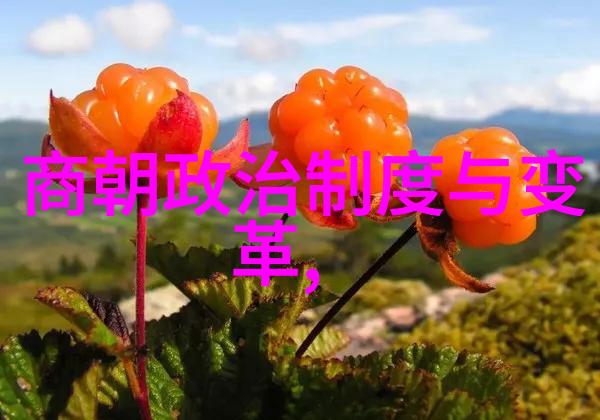 辉煌盛世揭秘明朝的版图变迁与历史足迹