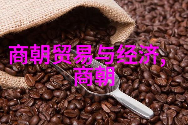 大明我是朱允熞穿越时空的孤独奏鸣