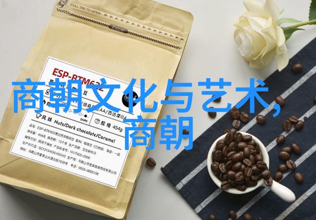 努尔哈赤为何不传位给多尔衮老皇帝的难题为什么他最信任的儿子没能继承大统