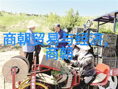 宋朝风华录历代帝王英明与盛世变迁