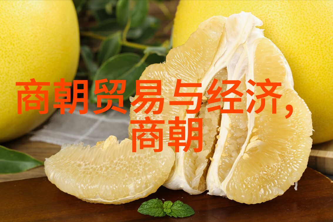 元朝1206还是1271我是怎么区分这两个时间点的