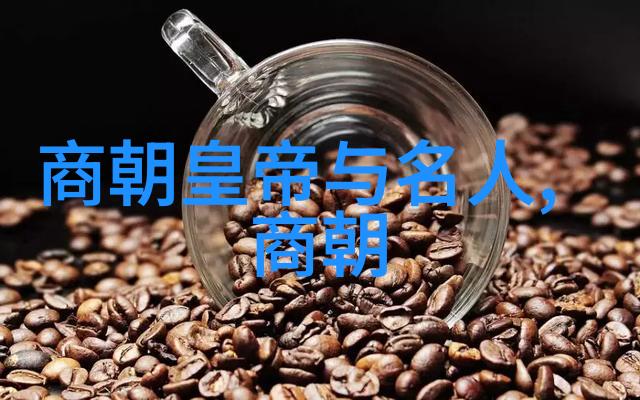伯颜历史上的策略大师犹如星辰指引方向