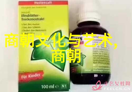 明朝历史地图-揭秘江山万里一幅幅见证时光的古老图谱