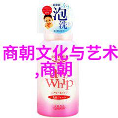 灰姑娘的奇迹玻璃鞋魔术舞会与幸福终局