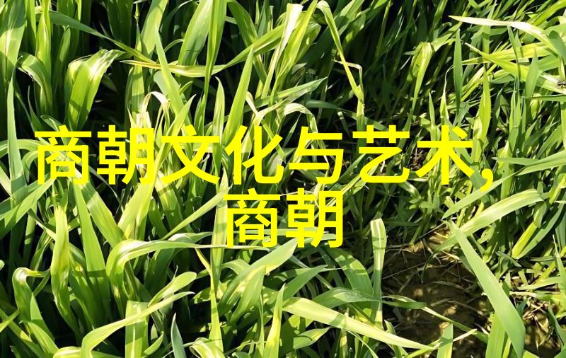 2023年奇观频现全球奇闻趣事汇编