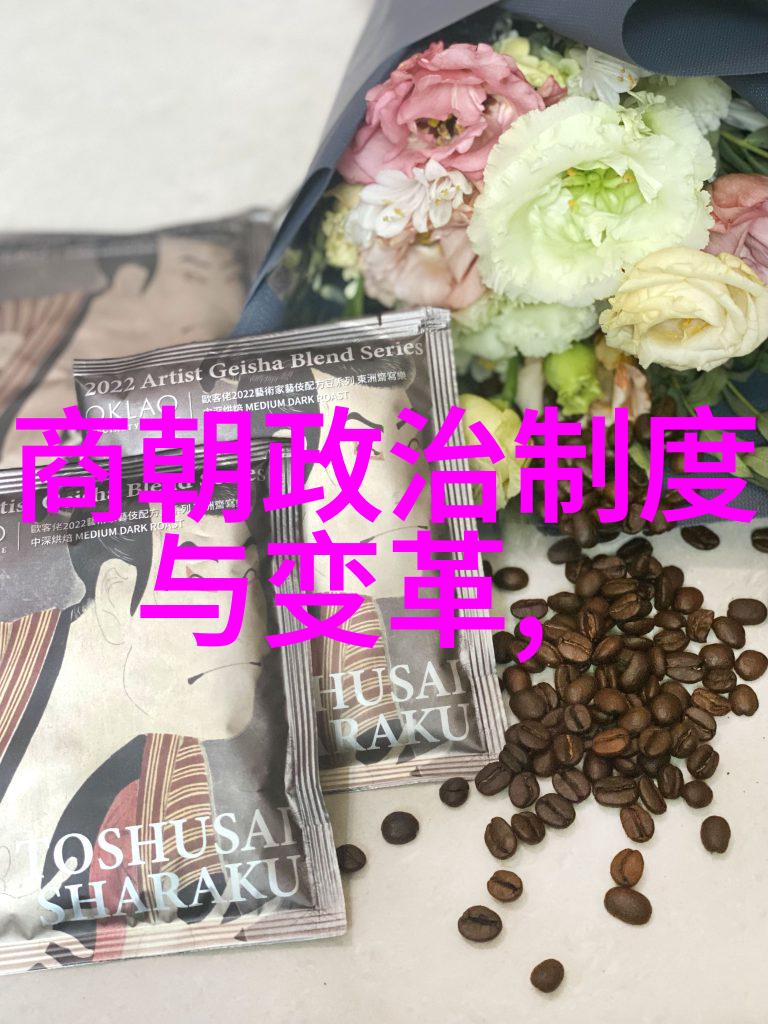 帝影深沉乾隆的隐秘面纱