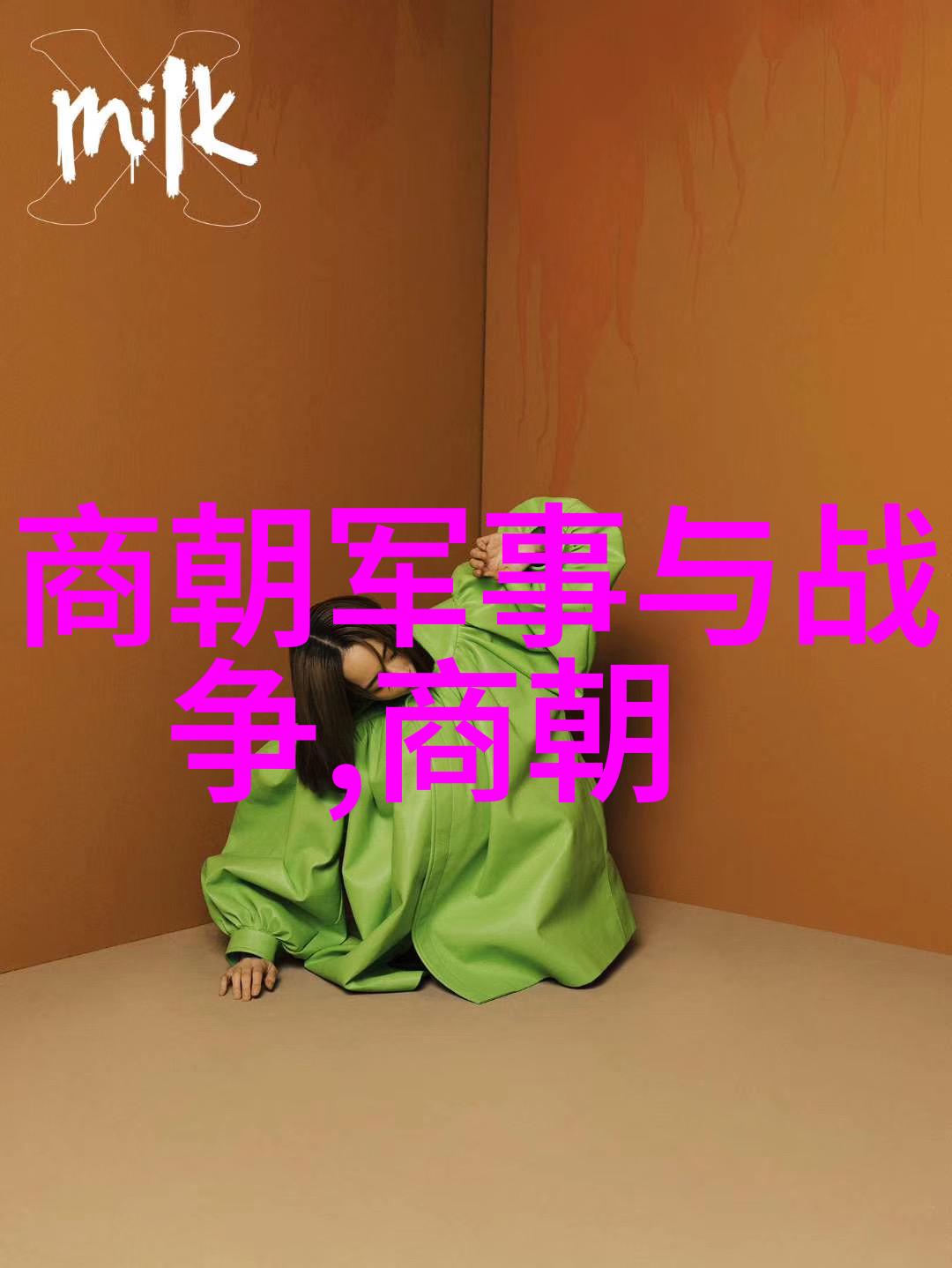 宋朝帝王统治时期的辉煌与衰落历史长河中的荣耀与哀愁