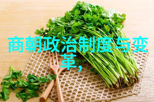 元朝末年黑暗与混乱的边缘